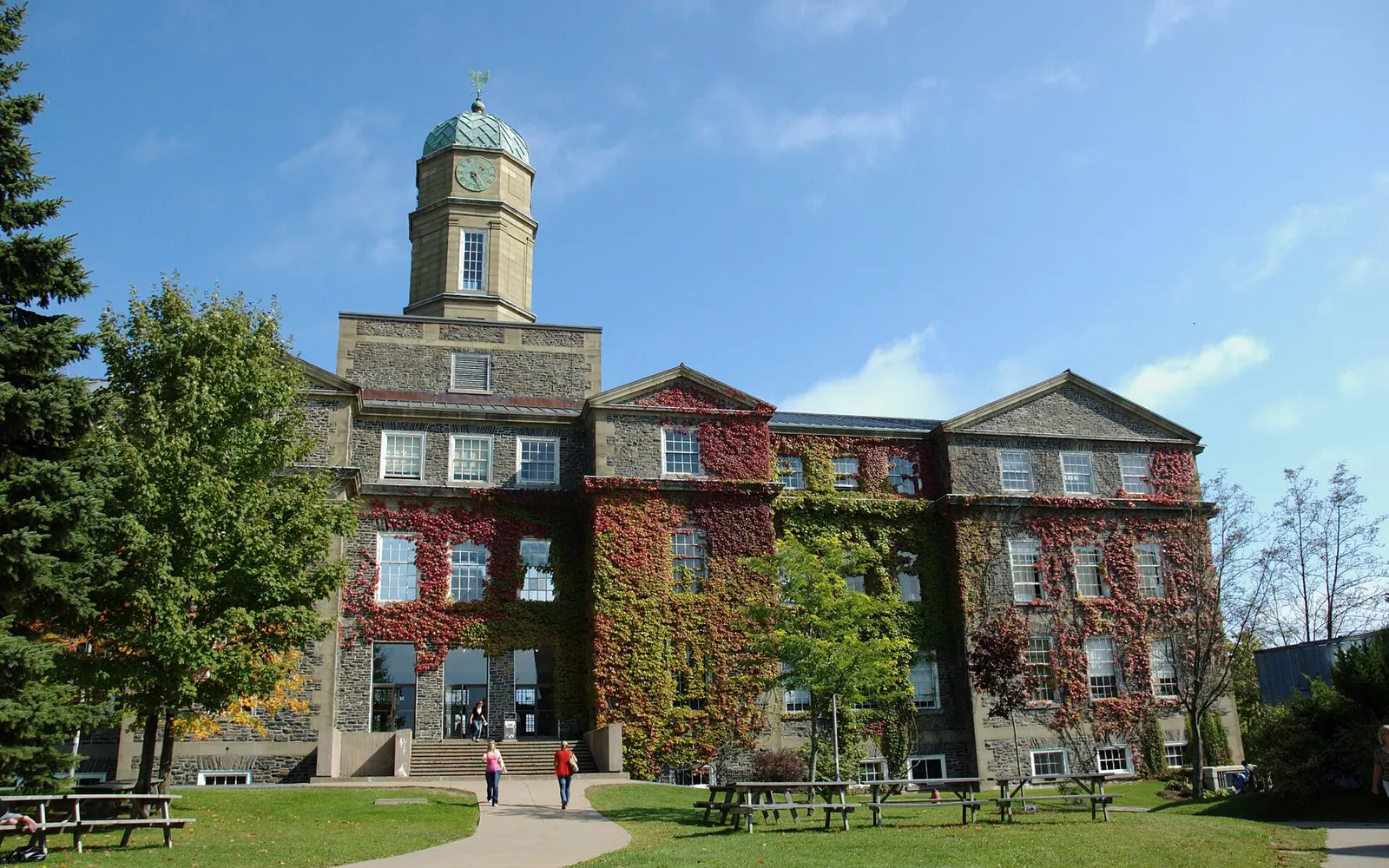 Henry Hicks Academic Building, Dalhousie University