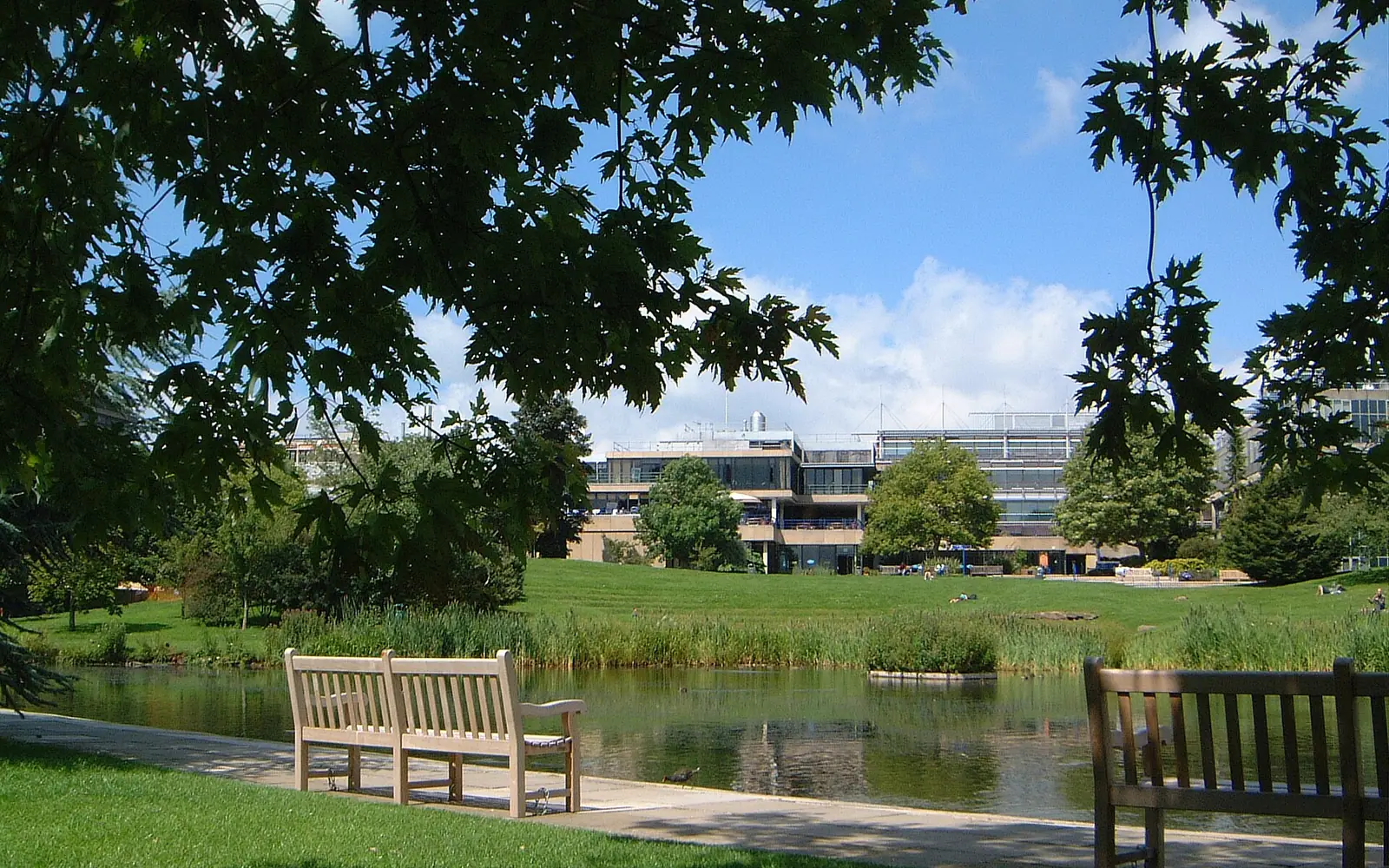 University of Bath campus lake scene
