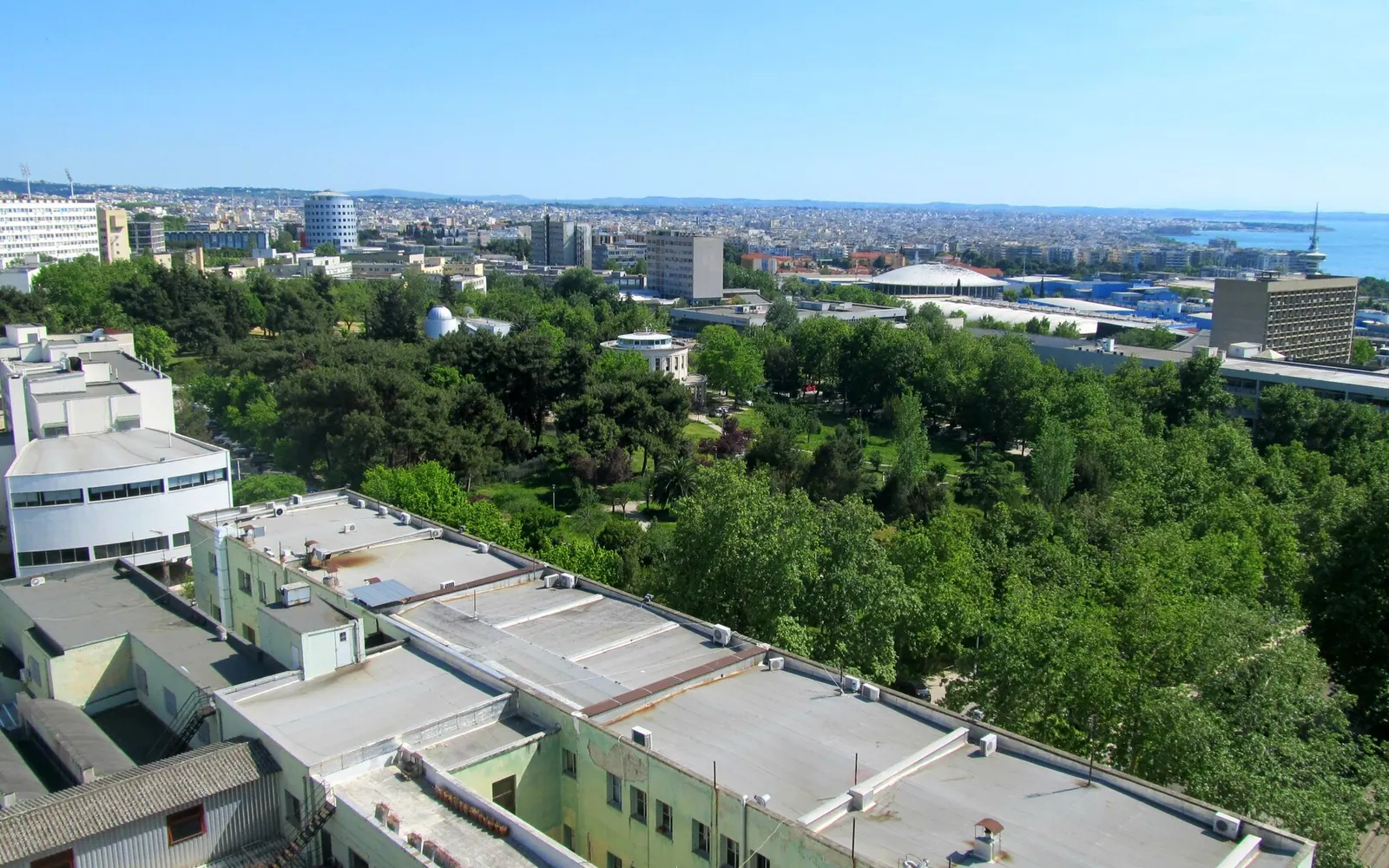 View from the Biology building rooftop