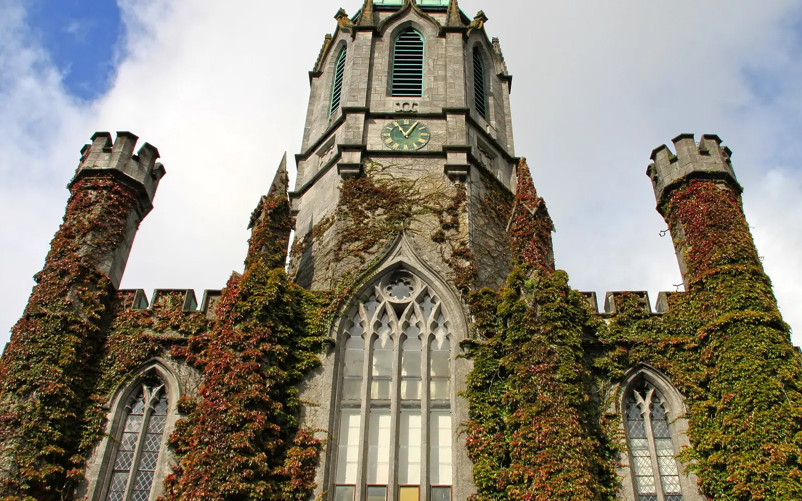 Ivy growing on the national university of Galway building, Ireland .