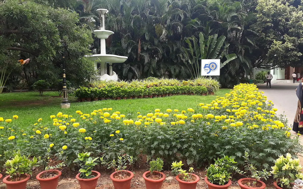 Christ University buildings and campus in Hosur main road, Bangalore, Karnataka