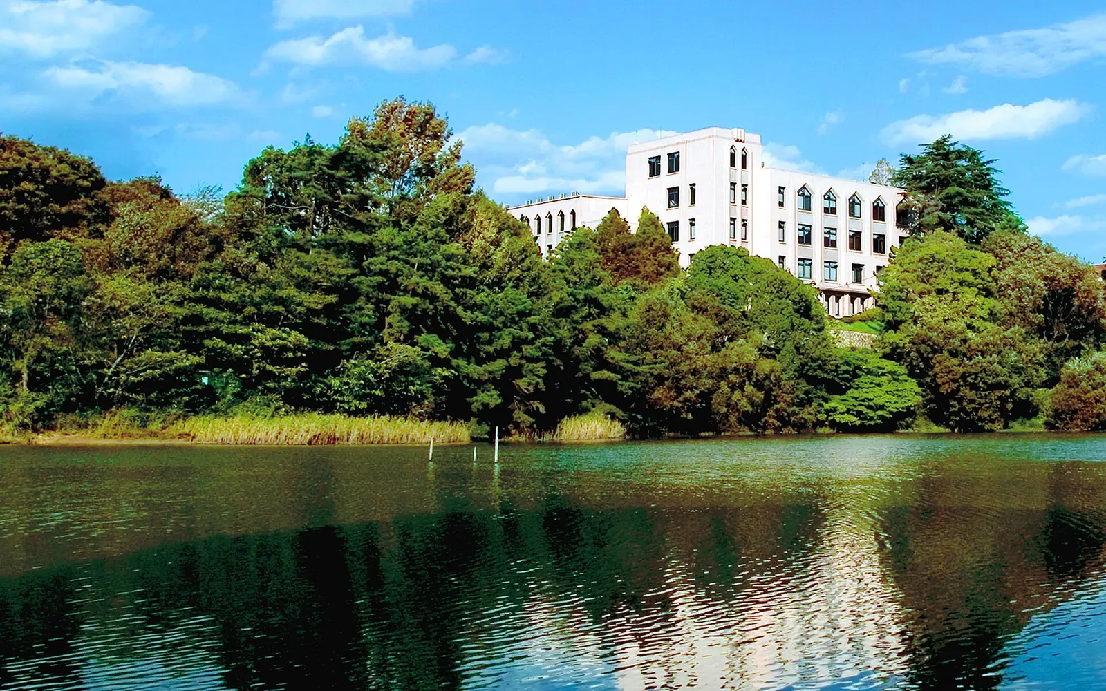 キーワード：池,夏,中山池,豊中キャンパス,大阪大学会館,よく使う風景