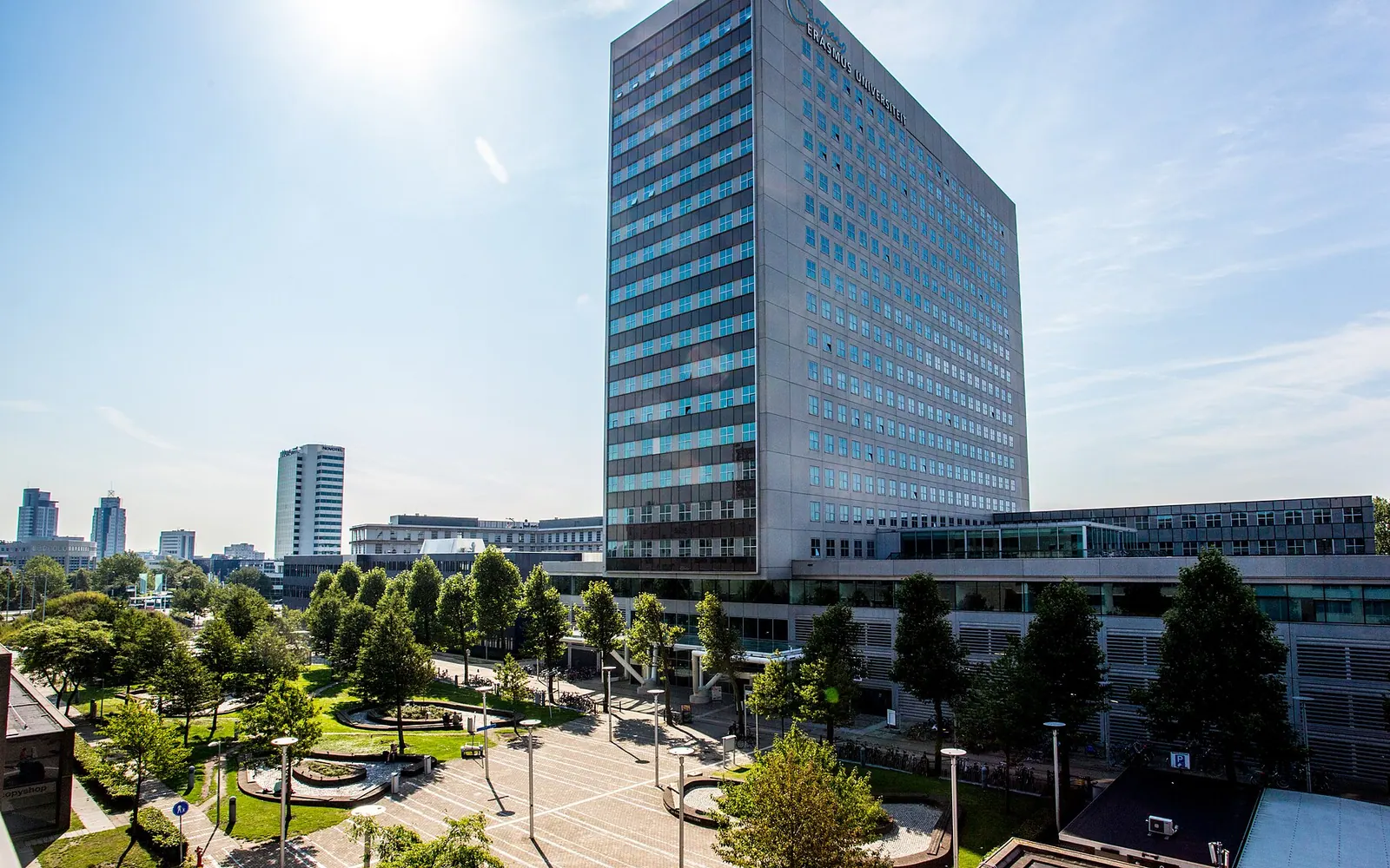 RSM Eramus University Campus summer