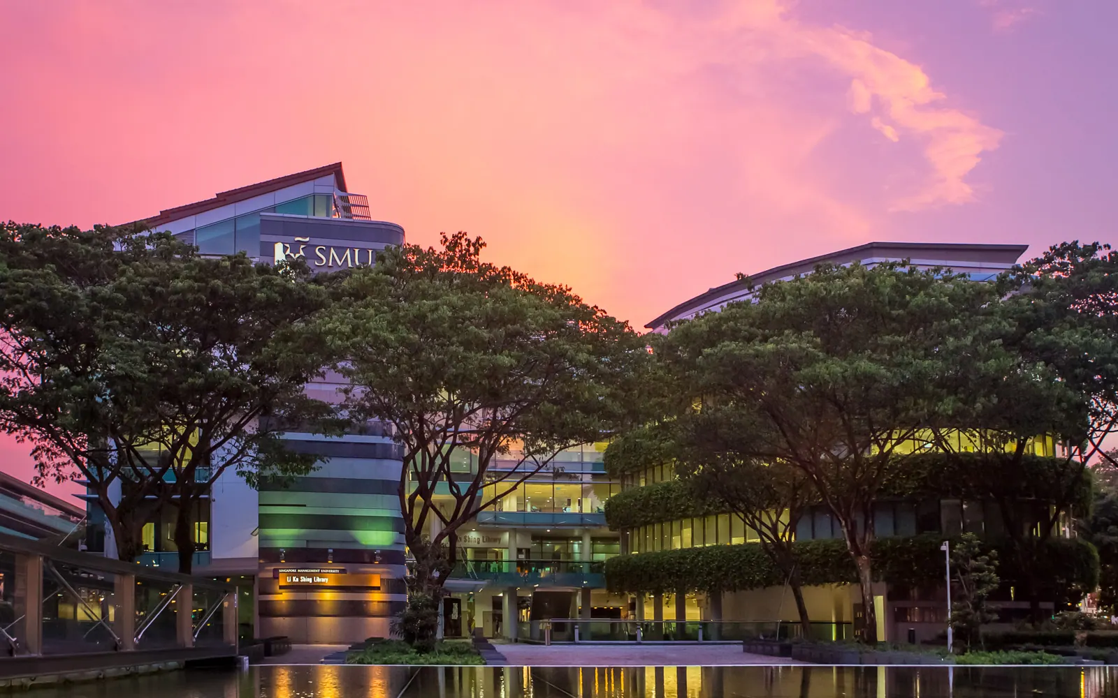 Li Ka Shing Library