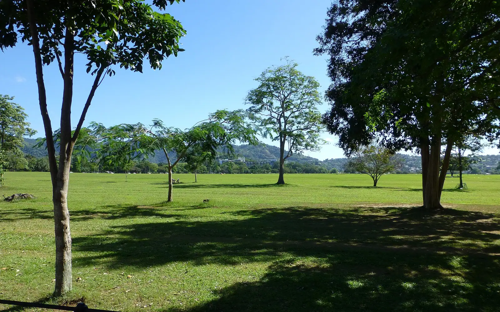 Northern part of the Queen's Park Savannah, Port of Spain, Trinidad and Tobago.